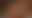 @thepriapicknave.bsky.social background blur