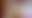 @thepriapicknave.bsky.social background blur