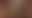 @machomedia.bsky.social background blur