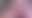 @hotnet.bsky.social background blur