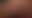 @hotnet.bsky.social background blur