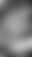 @nicevibes4u.bsky.social background blur