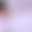 @nicevibes4u.bsky.social background blur
