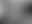 @nicevibes4u.bsky.social background blur